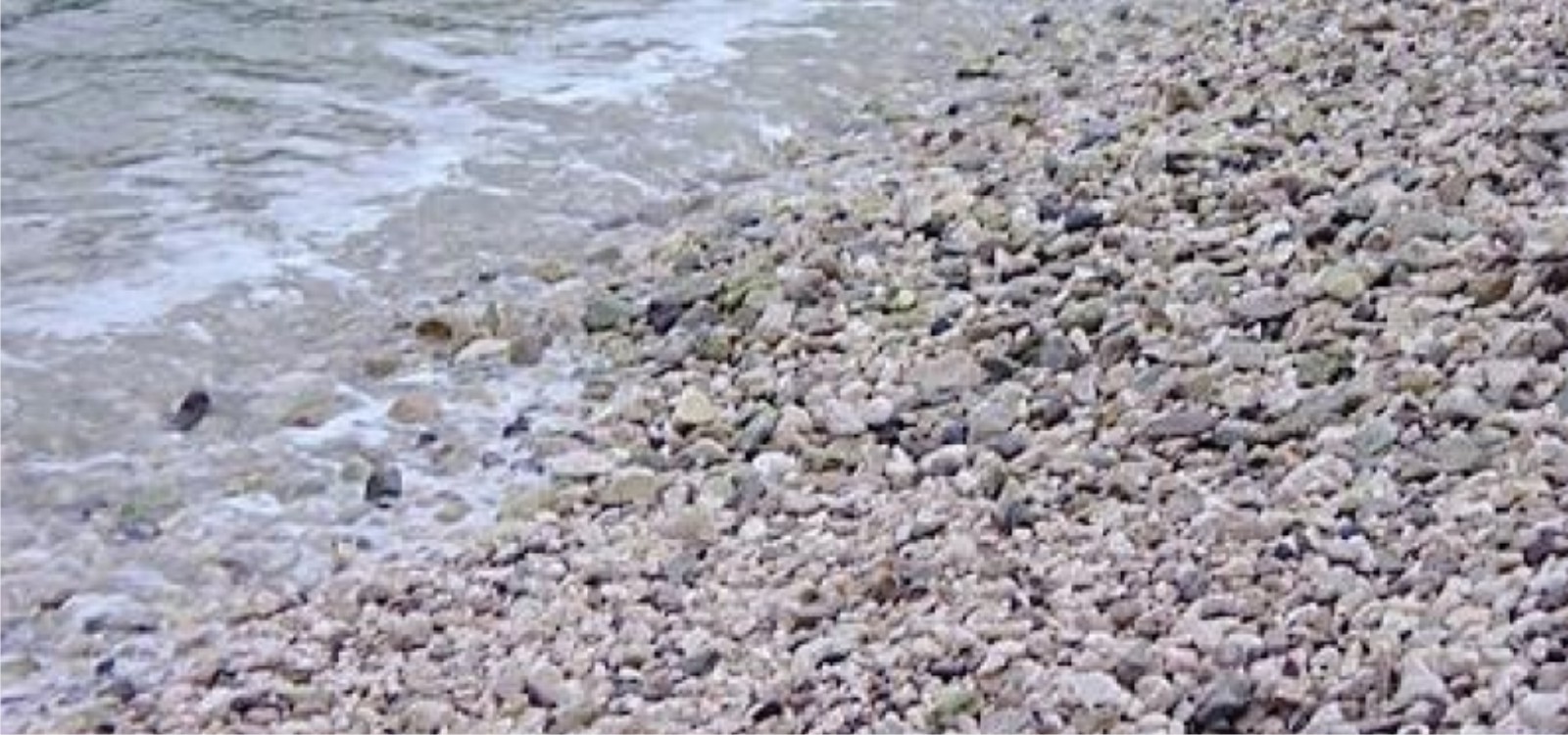 Apartmani Krajnović Fažana